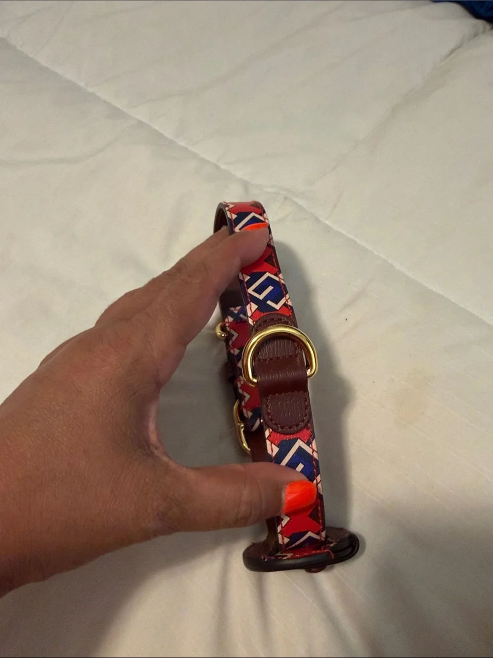 Gucci medium pet collar